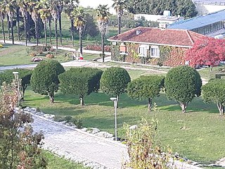 Botanical Garden of Tirana