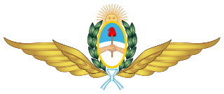 Piloto de la Fuerza Aérea Argentina