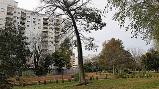 Plaza Giordano Bruno