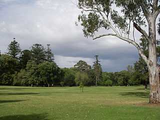 Botanic Park