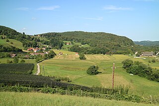 Hauenstein