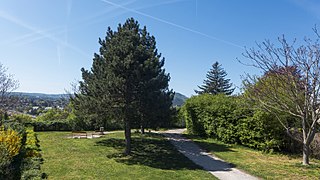 Bertha-Neumann-Park