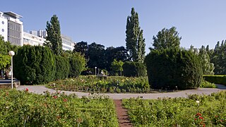 Rosarium Wettsteinpark