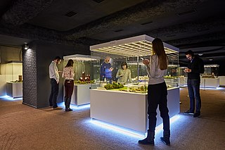 Architecture miniatures museum