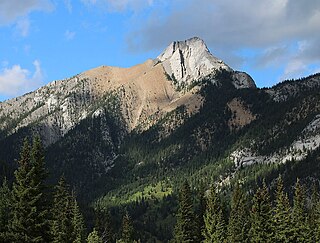 Mary Barclay's Mountain