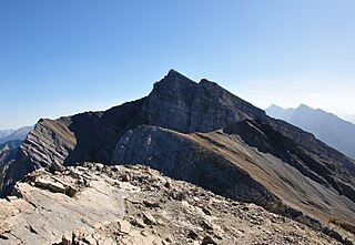 Mount Lawrence Grassi