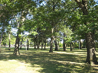 Runnymede Park