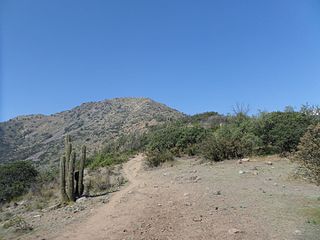 Cerro Alto de las Vizcachas