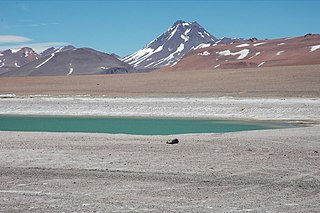 Volcán Acamarachi