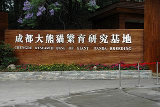 Chengdu Research Base of Giant Panda Breeding