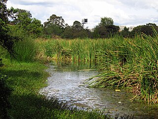 Humedal Santa María Del Lago