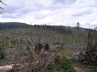 Stříbrnická