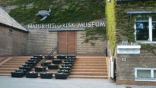 Naturhistorisk Museum
