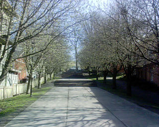 University Hill