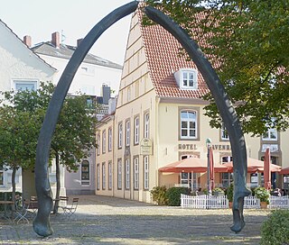 Sculpture of blue whale jaw