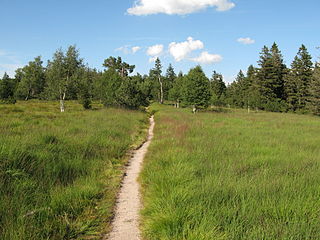 Hochkopf