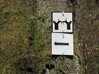 Rheingauer Gebück Tafel 10 Das Gebück am Wolfsrück