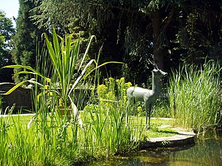 Botanischer Garten