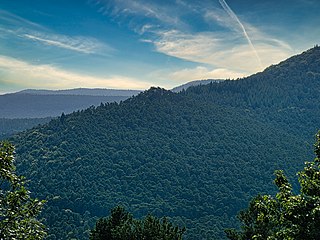 Taubenkopf