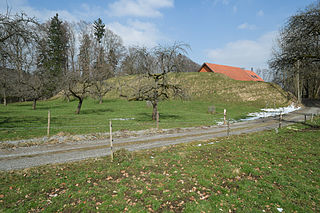 Ringgenburg