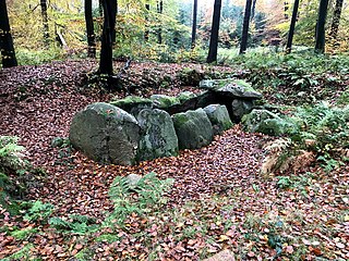 Großsteingrab Nenndorf