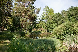 Botanischer Garten der Universität Rostock