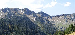 Rinnerspitz