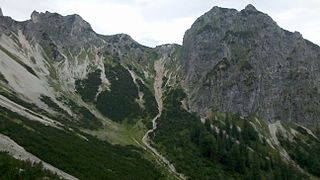 Österreichischer Schinder