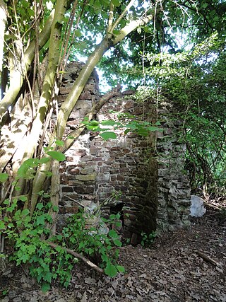 Ruine Plixholz