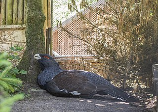 Tierpark Suhl