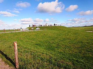 Info-Camp Elisabethgrodendeich
