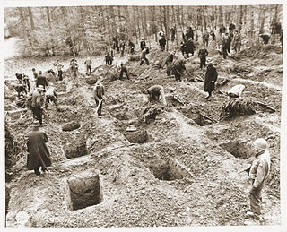 Massaker im Arnsberger Wald