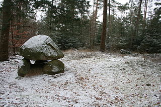 Großsteingrab Henkenstein