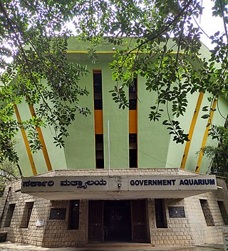 Bangalore Aquarium