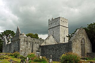 Muckross Abbey