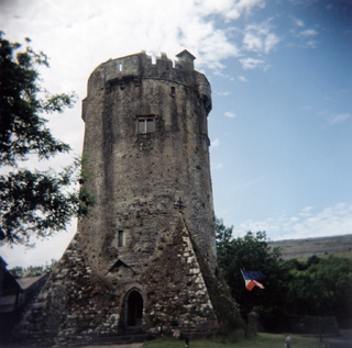 Newtown Castle
