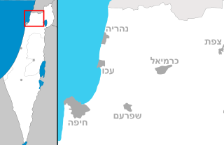Sfunim