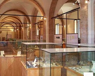 Museo archeologico di Cesena