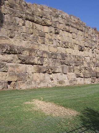 Mura Serviane