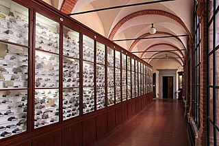 Museo di Storia Naturale Accademia dei Fisiocritici