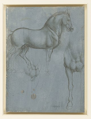 Vinci Horse