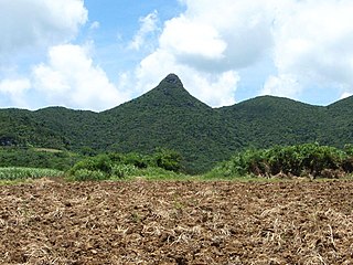 Mt. Nosoko