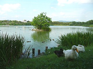 昆陽池公園