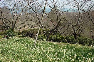 白野江植物公園