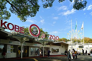 Kobe Oji Zoo