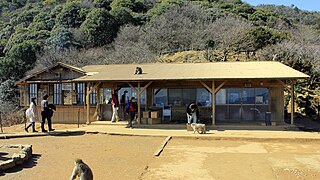 Monkey Park Iwatayama