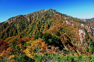 Mt. Ogasa