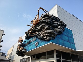 Numazu Port Deep Sea Aquarium