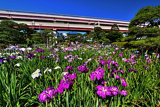 Horikiri Iris Garden