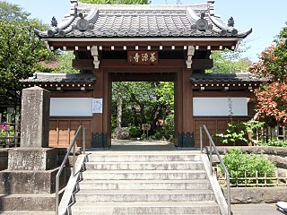 養源寺